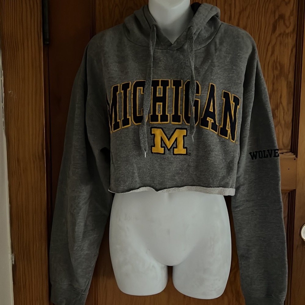 Michigan Cropped Hoodie